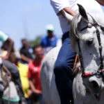 ministerio-publico-recomenda-acoes-para-garantir-bem-estar-animal-e-seguranca-na-cavalgada-da-expogurupi