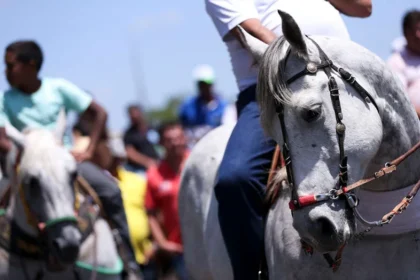 ministerio-publico-recomenda-acoes-para-garantir-bem-estar-animal-e-seguranca-na-cavalgada-da-expogurupi