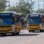 tarifa-zero-no-transporte-publico-das-27-capitais-poderia-ser-o-novo-bolsa-familia,-diz-estudo-elaborado-por-pesquisadores-da-unb-e-ufrj