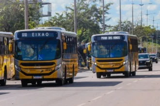 tarifa-zero-no-transporte-publico-das-27-capitais-poderia-ser-o-novo-bolsa-familia,-diz-estudo-elaborado-por-pesquisadores-da-unb-e-ufrj