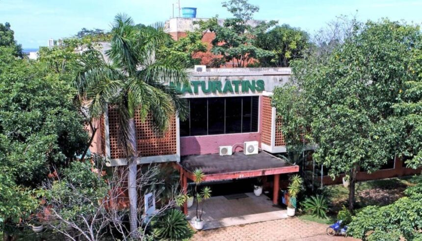 aberto-edital-para-o-conselho-da-foz-do-rio-santa-teresa;-naturatins-busca-novas-entidades