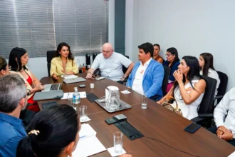 mpe-e-gestores-da-saude-alinham-acoes-para-reduzir-mortalidade-materna-e-infantil-em-palmas