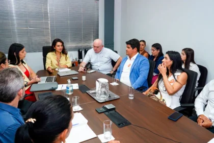 mpe-e-gestores-da-saude-alinham-acoes-para-reduzir-mortalidade-materna-e-infantil-em-palmas