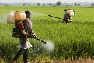 comissao-debate-efeitos-dos-herbicidas-hormonais-sobre-a-saude-e-a-biodiversidade