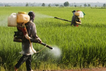 comissao-debate-efeitos-dos-herbicidas-hormonais-sobre-a-saude-e-a-biodiversidade