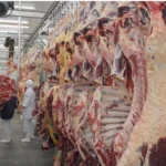 com-125-mil-toneladas-exportadas-em-2025,-carne-do-tocantins-ainda-busca-espaco-na-europa,-que-acaba-de-proibir-importacao-do-brasil