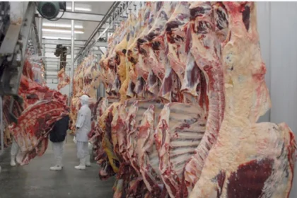 com-125-mil-toneladas-exportadas-em-2025,-carne-do-tocantins-ainda-busca-espaco-na-europa,-que-acaba-de-proibir-importacao-do-brasil