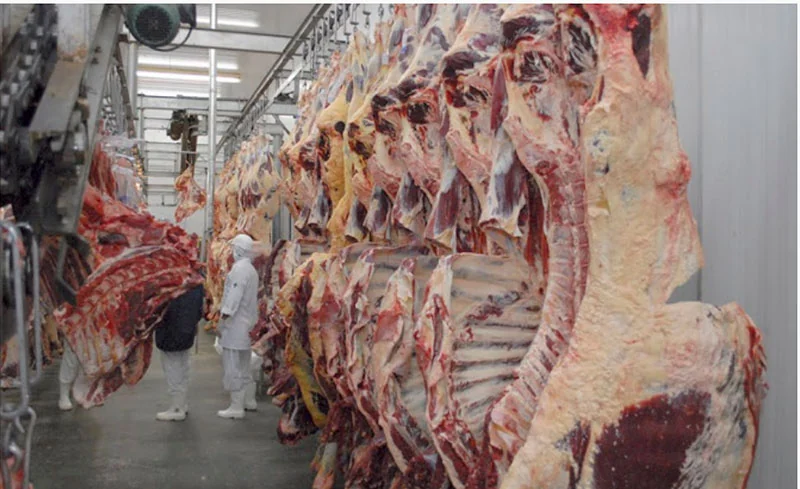 com-125-mil-toneladas-exportadas-em-2025,-carne-do-tocantins-ainda-busca-espaco-na-europa,-que-acaba-de-proibir-importacao-do-brasil