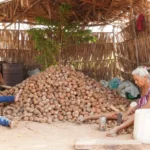 oficio-das-quebradeiras-de-coco-babacu-sera-reconhecido-como-manifestacao-da-cultura-nacional;-projeto-de-ricardo-ayres-segue-para-sancao-presidencial