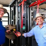 na-agrotins,-adapec-e-seagro-realizam-1a-identificacao-individual-de-bovino-como-pontape-do-programa-de-rastreabilidade;-tocantins-tem-rebanho-de-11,7-milhoes 
