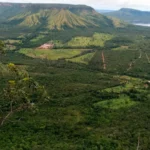 naturatins-amplia-prazo-de-inscricao-para-conselhos-das-apas-de-lajeado-e-santa-teresa