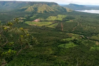 naturatins-amplia-prazo-de-inscricao-para-conselhos-das-apas-de-lajeado-e-santa-teresa