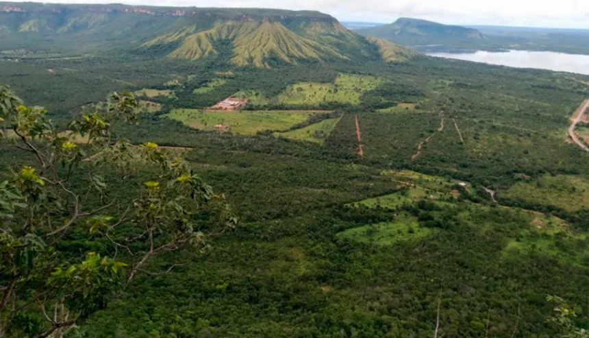 naturatins-amplia-prazo-de-inscricao-para-conselhos-das-apas-de-lajeado-e-santa-teresa