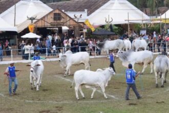 lei-reconhece-expo-cordeiro-(rj)-como-manifestacao-da-cultura-nacional