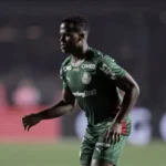 palmeiras-se-despede-de-convocados-na-libertadores