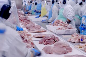 embargo-da-uniao-europeia-e-limite-da-china-pressionam-exportacoes-de-carne-brasileira