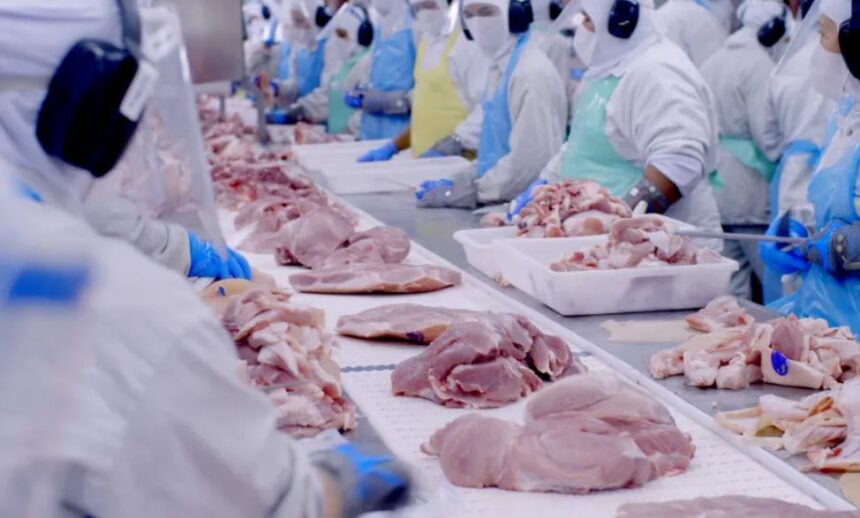 embargo-da-uniao-europeia-e-limite-da-china-pressionam-exportacoes-de-carne-brasileira