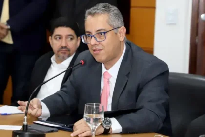 julio-edstron-secundino-santos-| a-logica-do-bambu:-o-tempo,-a-administracao-publica-e-o-desenvolvimento-sustentavel                                                                                            