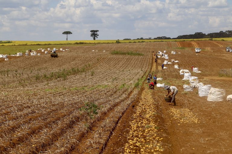comissao-debate-regras-para-contratacao-de-trabalhador-agricola-safrista