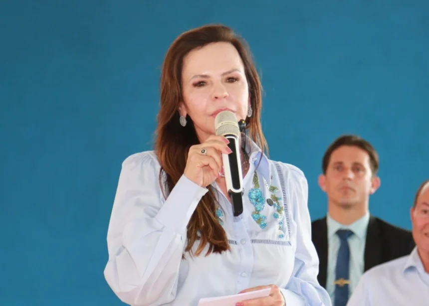 dorinha-seabra-volta-a-denunciar-manipulacao-nas-redes-sociais-com-uso-de-seguidores-falsos