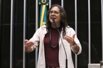 comissao-aprova-projeto-que-obriga-instalacao-de-telhados-verdes-em-novos-predios-publicos
