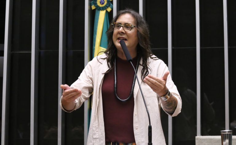 comissao-aprova-projeto-que-obriga-instalacao-de-telhados-verdes-em-novos-predios-publicos