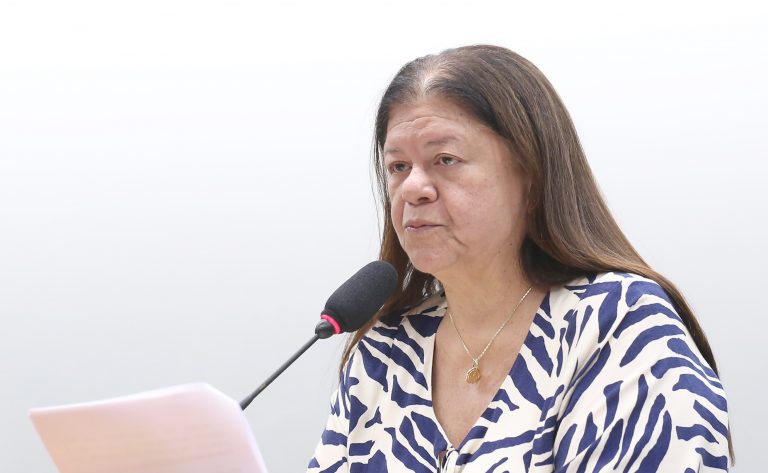 comissao-aprova-projeto-que-prioriza-mulher-chefe-de-familia-em-linhas-de-credito-da-agricultura-familiar