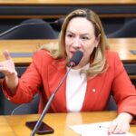 comissao-aprova-projeto-que-cria-diretrizes-nacionais-para-as-rondas-maria-da-penha