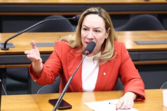 comissao-aprova-projeto-que-cria-diretrizes-nacionais-para-as-rondas-maria-da-penha