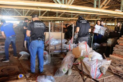 em-palmas,-policia-civil-do-tocantins-incinera-cerca-de-170-kg-de-drogas-apreendidas-durante-a-operacao-narke-vi