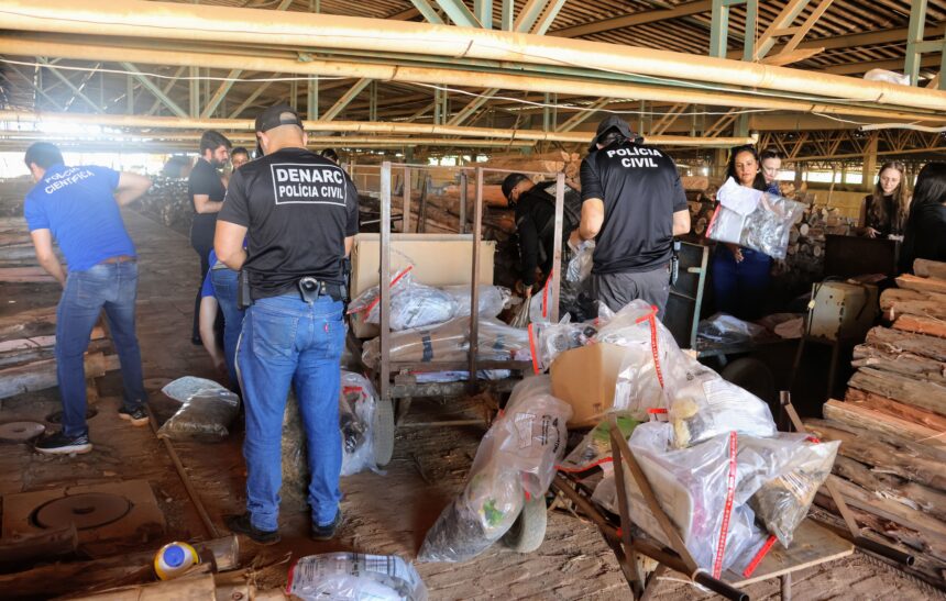 em-palmas,-policia-civil-do-tocantins-incinera-cerca-de-170-kg-de-drogas-apreendidas-durante-a-operacao-narke-vi