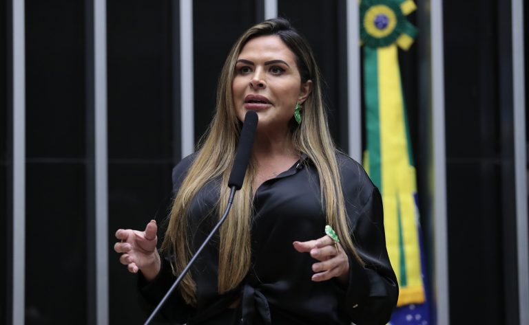 comissao-aprova-inclusao-de-internet-nas-campanhas-de-prevencao-a-violencia-domestica