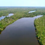 estado-institui-programa-de-conversao-de-multas-ambientais-em-bens-e-servicos-para-recuperacao-e-conservacao