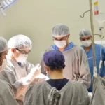 com-34-procedimentos-somente-em-2026,-hgp-soma-mais-de-260-cirurgias-bariatricas-realizadas-desde-2022