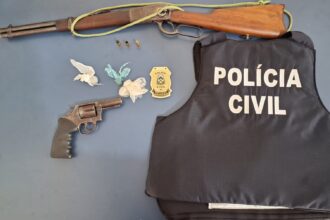 policia-civil-cumpre-mandado-de-busca-e-apreende-armas-de-fogo-em-propriedade-rural-de-almas