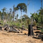 comissao-discute-crimes-ambientais,-agronegocio-e-fundos-de-investimento;-participe