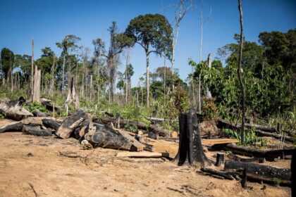 comissao-discute-crimes-ambientais,-agronegocio-e-fundos-de-investimento;-participe