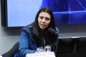 comissao-aprova-criacao-de-sistema-nacional-de-prevencao-e-combate-ao-feminicidio