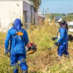 prefeitura-de-araguaina-intensifica-limpeza-de-lotes-baldios-para-prevenir-queimadas-e-garantir-mais-seguranca-durante-a-estiagem