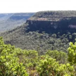 tocantins-abre-consulta-sobre-plano-de-prevencao-a-incendios-e-desmatamento-no-dia-20