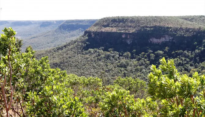 tocantins-abre-consulta-sobre-plano-de-prevencao-a-incendios-e-desmatamento-no-dia-20