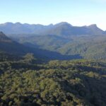 retrospectiva:-regras-menos-rigidas-para-atividades-na-mata-atlantica-foram-aprovadas-na-area-de-meio-ambiente