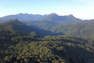 retrospectiva:-regras-menos-rigidas-para-atividades-na-mata-atlantica-foram-aprovadas-na-area-de-meio-ambiente