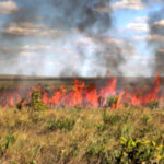 portaria-suspende-autorizacoes-de-queima-controlada-no-tocantins-ate-31-de-outubro