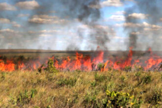 portaria-suspende-autorizacoes-de-queima-controlada-no-tocantins-ate-31-de-outubro