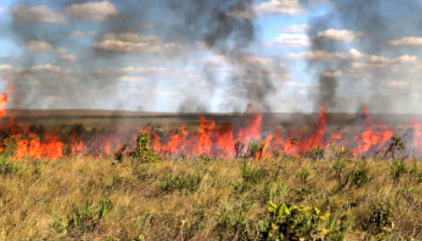 portaria-suspende-autorizacoes-de-queima-controlada-no-tocantins-ate-31-de-outubro