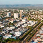 com-china-absorvendo-87%-das-exportacoes,-palmas-fecha-1o-semestre-com-superavit-de-us$-100-milhoes-na-balanca-comercial