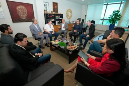 tribunal-de-contas-se-reune-com-secretarios-de-palmas-e-alinha-acoes-de-combate-as-queimadas