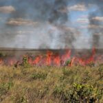 tocantins-esta-entre-os-estados-que-nao-apresentaram-plano-de-acao-em-meio-a-possivel-super-el-nino;-governo-federal-cria-camara-tecnica