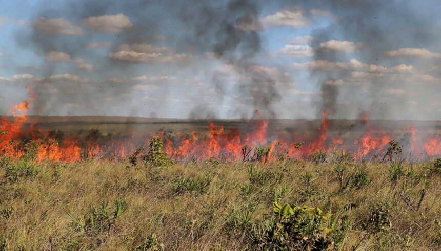 tocantins-esta-entre-os-estados-que-nao-apresentaram-plano-de-acao-em-meio-a-possivel-super-el-nino;-governo-federal-cria-camara-tecnica